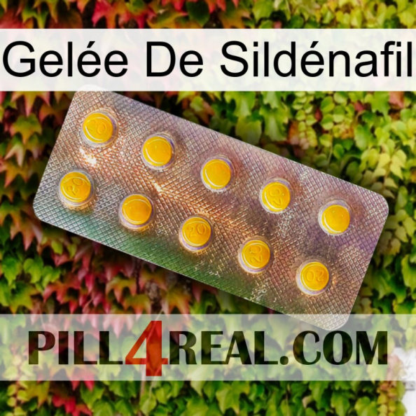 Gelée De Sildénafil new11.jpg